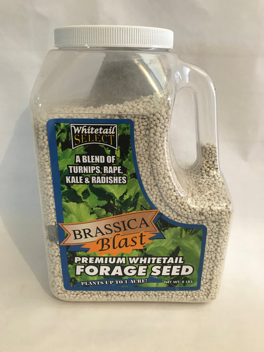 Brassica Blast